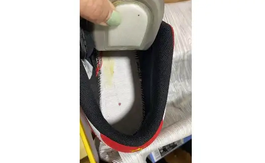 SB Low Nike Dunk 25th years 309242-307 0621